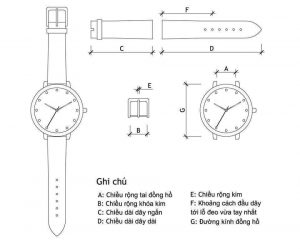 đặt dây da đồng hồ